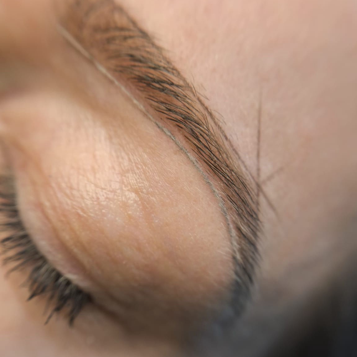 Permanent Make-Up Augenbraue in Thüringen MK Beauty Art Academy