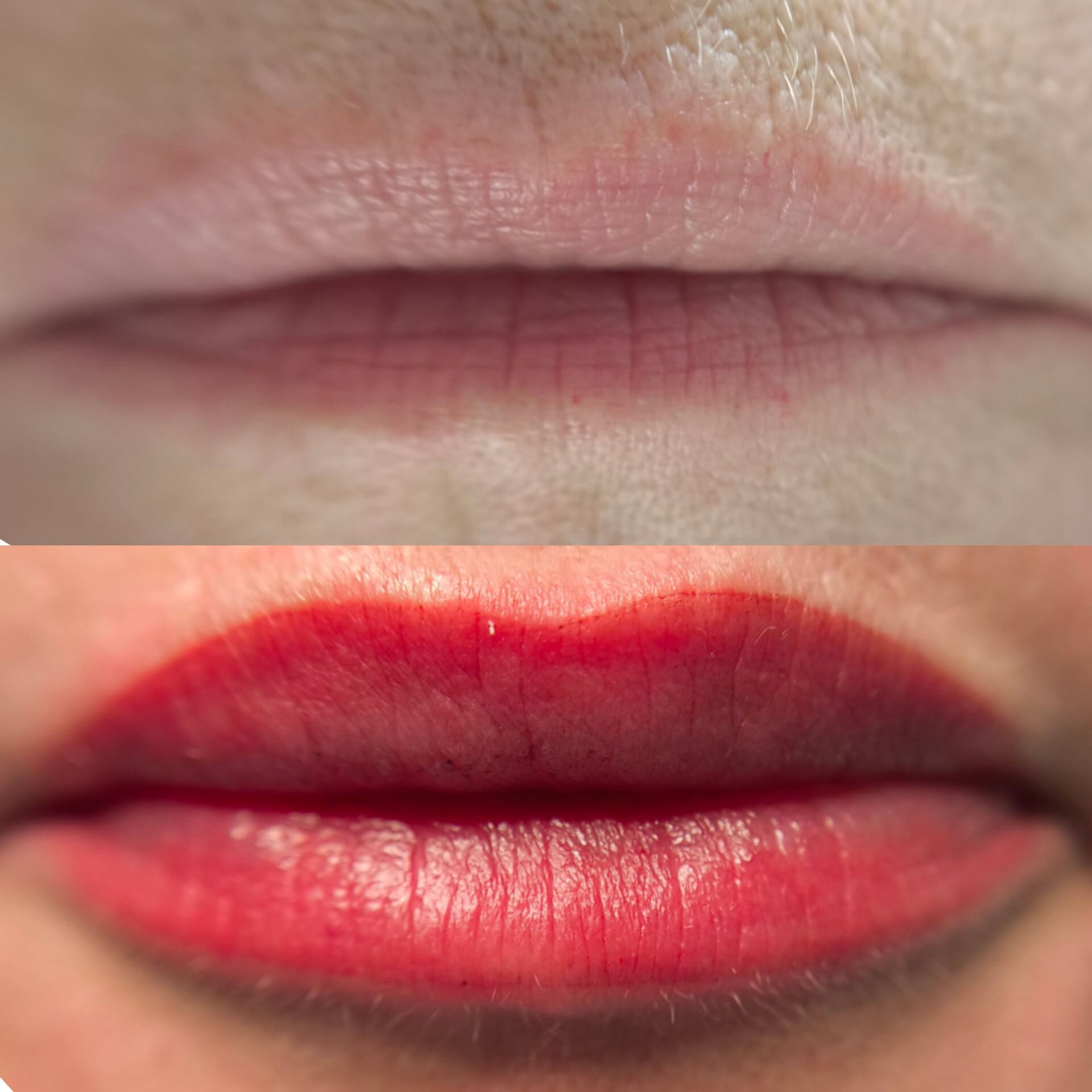 PMU Lippen Studio MK Beauty Art Bad Langensalza